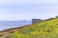 The rocky coast of the Sea of Ã¢â¬â¹Ã¢â¬â¹Japan on the Russian island in Vladivostok, covered with the first spring yellow flowers Royalty Free Stock Photo